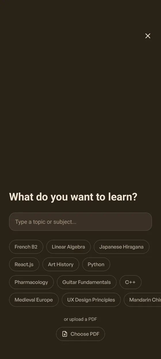 Step 1: Topic input with suggestion chips and PDF upload